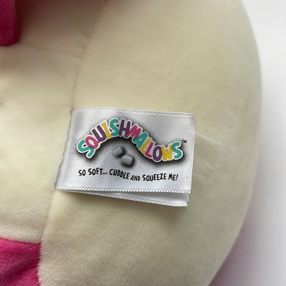Squishmallows Roxy Pink Heart Cat Valentine Plush 10” - Picture 5 of 6